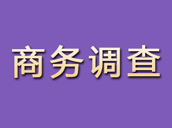 大方商务调查